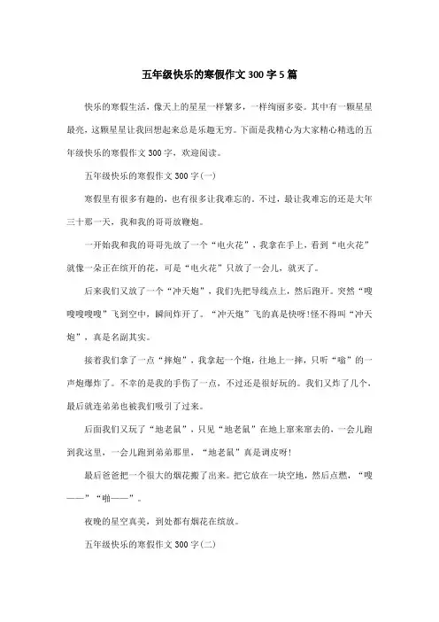 五年级快乐的寒假作文300字5篇