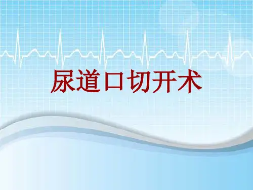 外科手术教学资料：尿道口切开术讲解模板