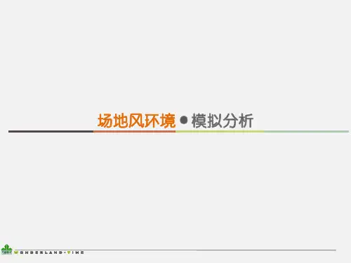 场地风环境模拟