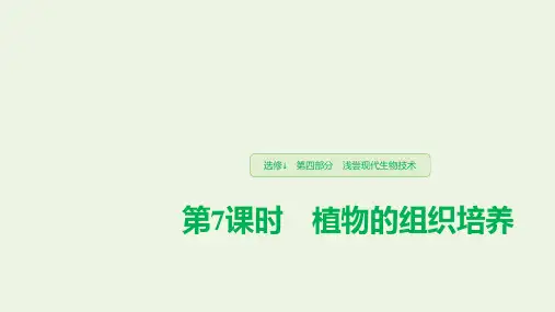 高中生物 第4部分 浅尝现代生物技术 第7课时 植物的组织培养课件 浙科版选修1