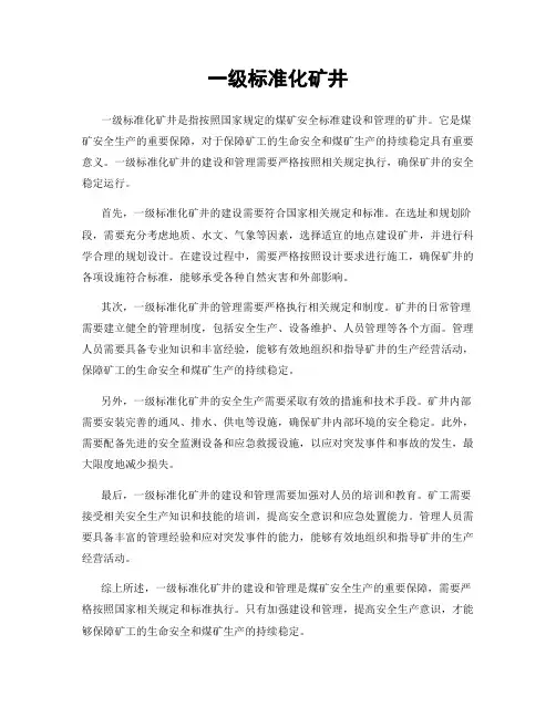 一级标准化矿井