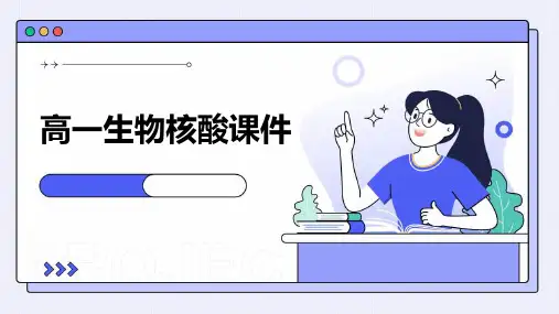 高一生物核酸课件