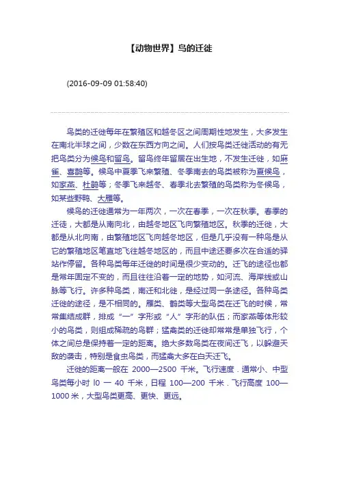【动物世界】鸟的迁徙