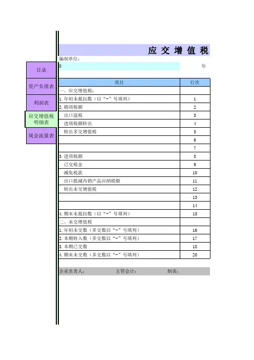 增值税明细表