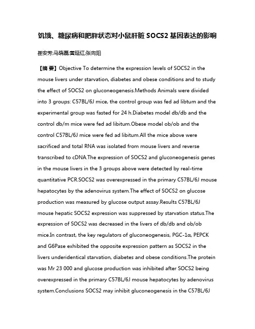 饥饿、糖尿病和肥胖状态对小鼠肝脏SOCS2基因表达的影响