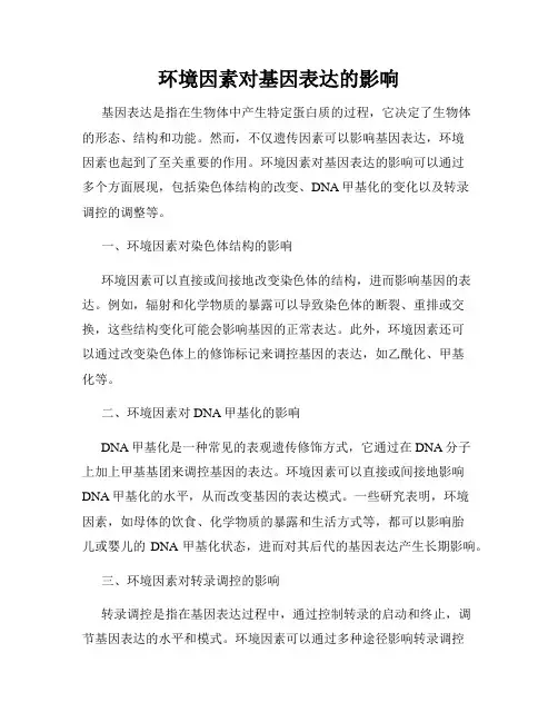 环境因素对基因表达的影响