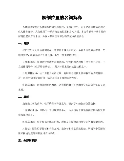 解剖位置的名词解释