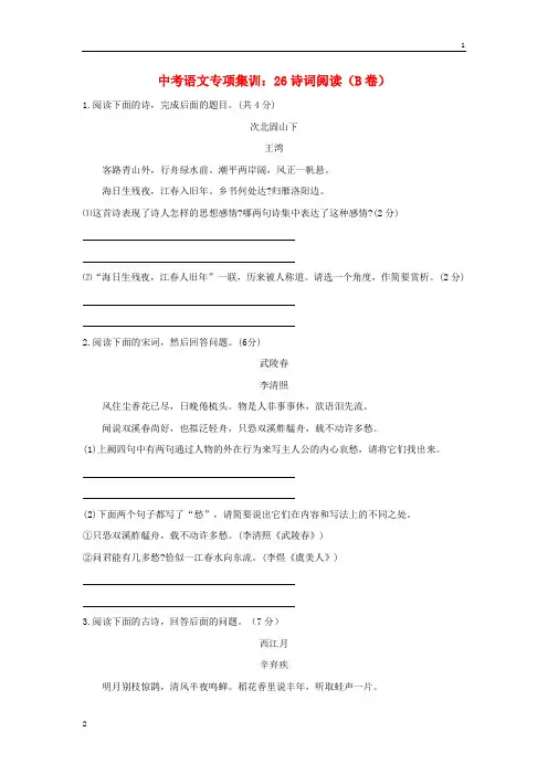 2018年中考语文专项集训26诗词阅读B卷20190219226