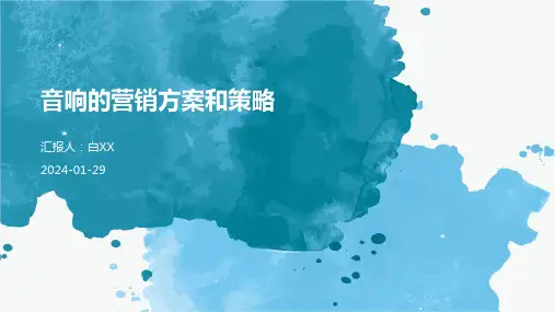 音响的营销方案和策略