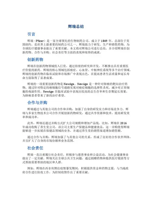 辉瑞总结范文