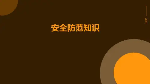 安全防范知识ppt