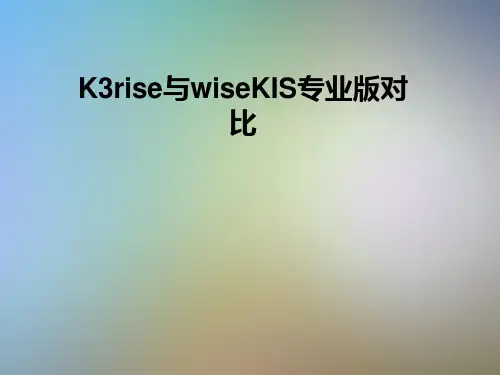 K3rise与wiseKIS专业版对比