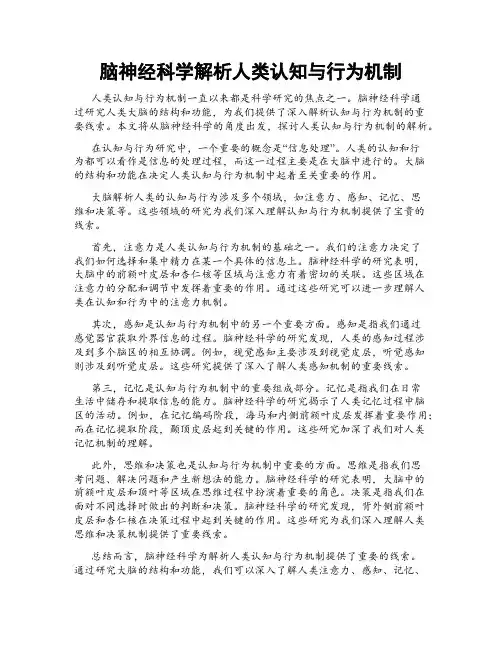 脑神经科学解析人类认知与行为机制