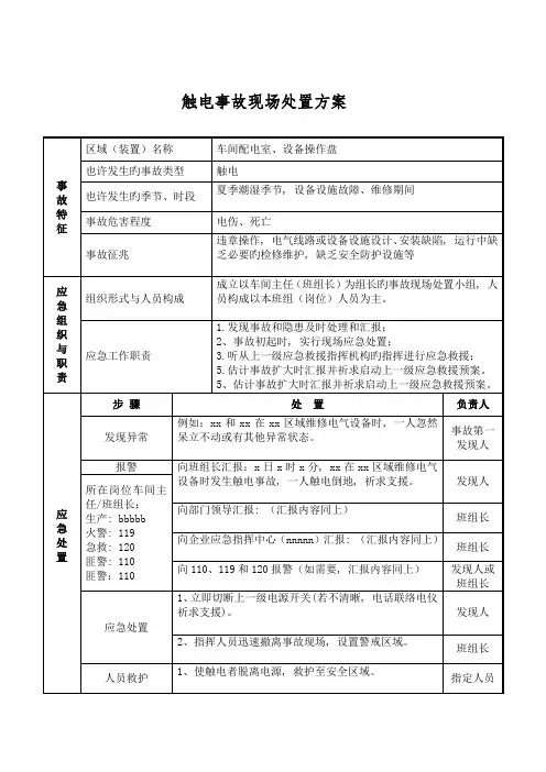 现场处置方案样本