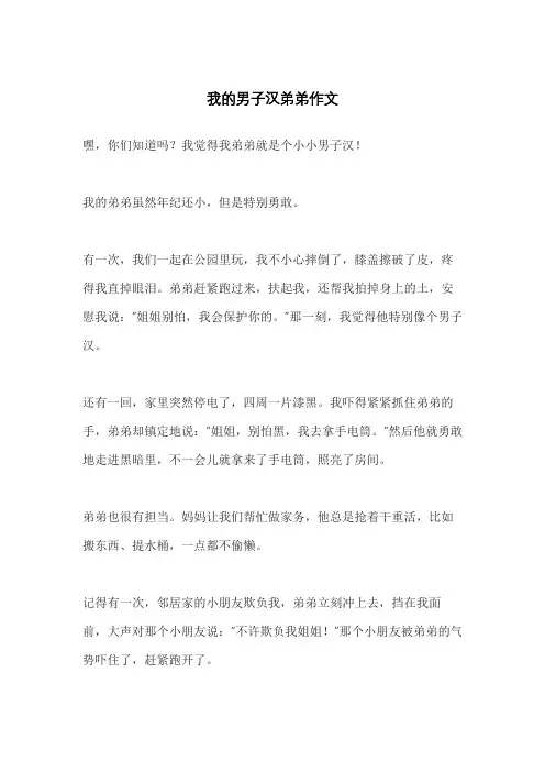 我的男子汉弟弟作文