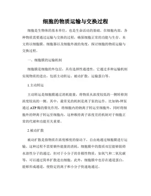 细胞的物质运输与交换过程