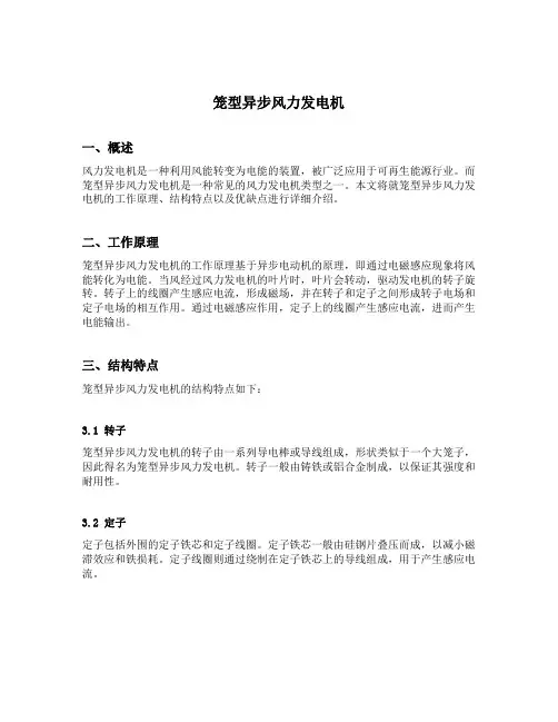 笼型异步风力发电机