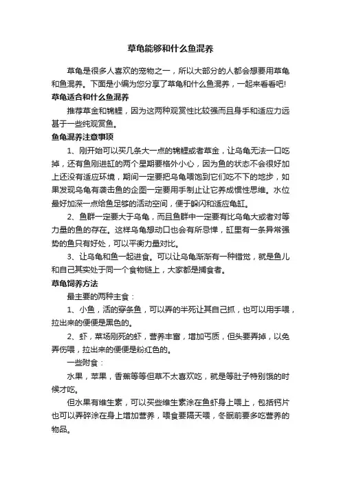 草龟能够和什么鱼混养