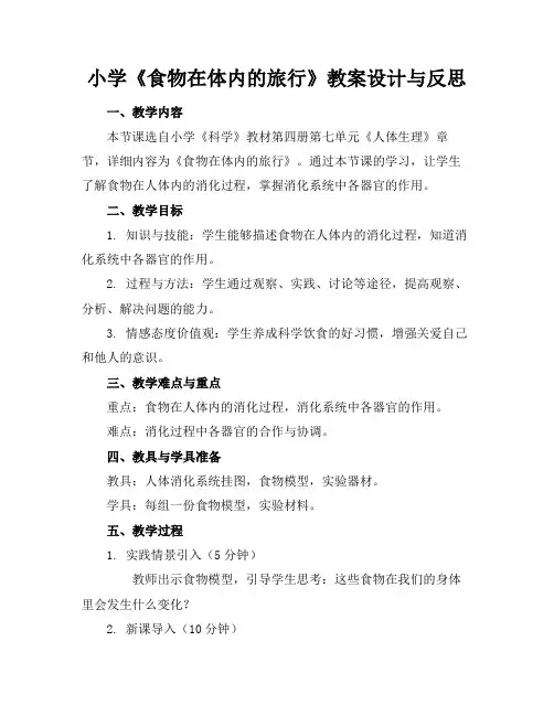 小学《食物在体内的旅行》教案设计与反思(1)