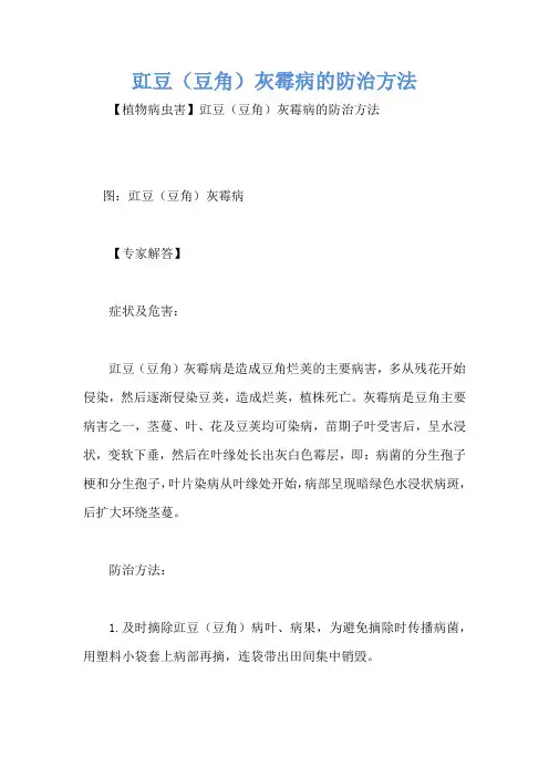 豇豆(豆角)灰霉病的防治方法