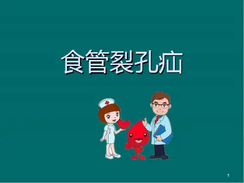 食管裂孔疝医学PPT课件