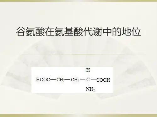 谷氨酸在氨基酸代谢中的地位