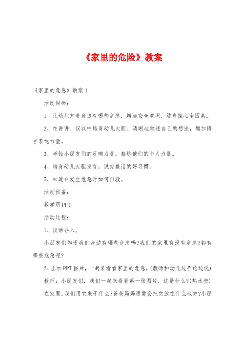 《家里的危险》教案