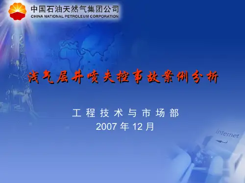 浅层气井喷失控事故案例分析