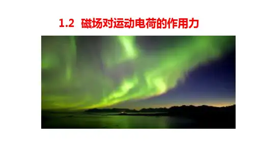 1.2 磁场对运动电荷的作用力 课件-2023年高二下学期物理人教版(2019)选择性必修第二册