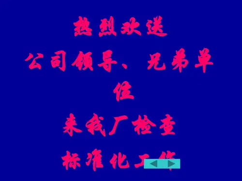 企业标准化培训(幻灯片)