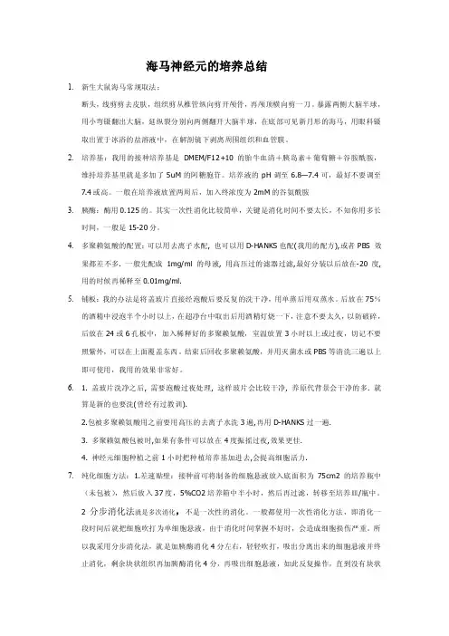 神经细胞的培养