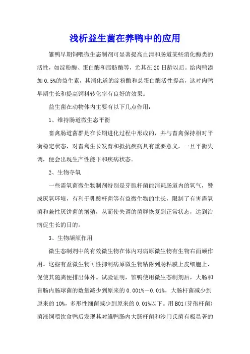 浅析益生菌在养鸭中的应用