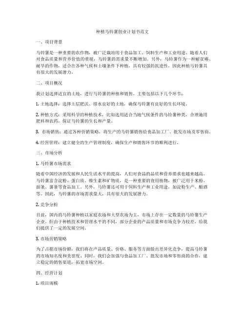 种植马铃薯创业计划书范文