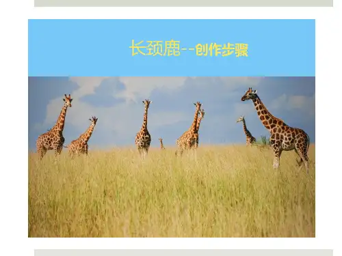 非洲长颈鹿 创作步骤图