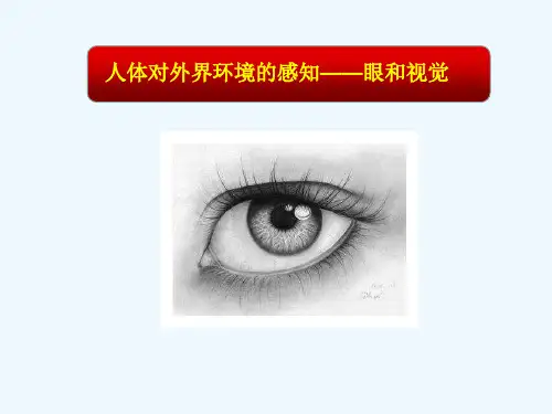 生物人教版七年级下册人体对外界环境的感知 ——眼和视觉精品PPT课件