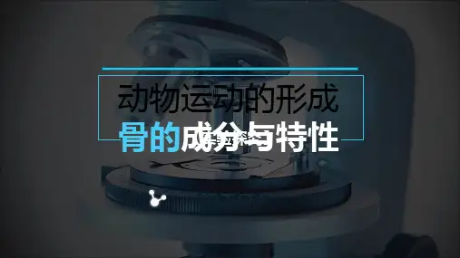 北师大版初中生物八年级上册 5.15.2 动物运动的形成——骨的成分与特性 课件(共23张PPT)
