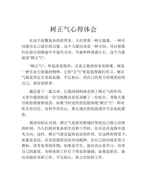 树正气心得体会