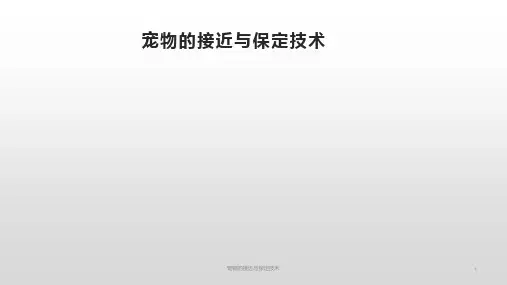 宠物的接近与保定技术