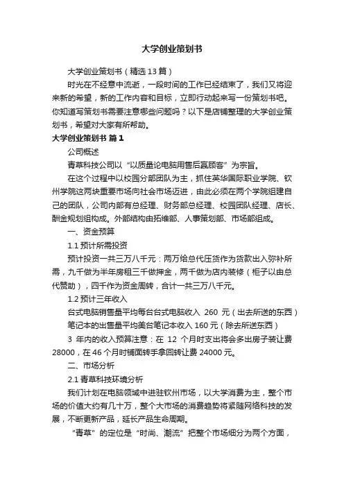 大学创业策划书