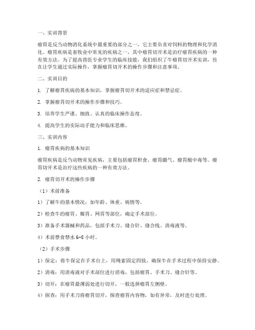 牛瘤胃切开术实训报告