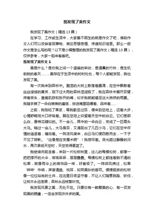 我发现了美作文