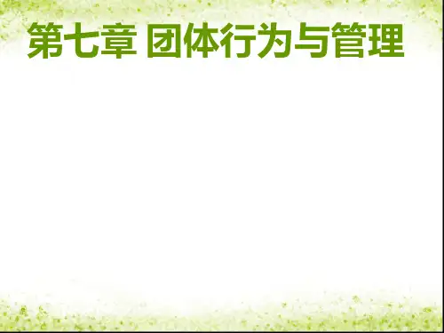 管理心理学(自考)第七章 团体行为与管理