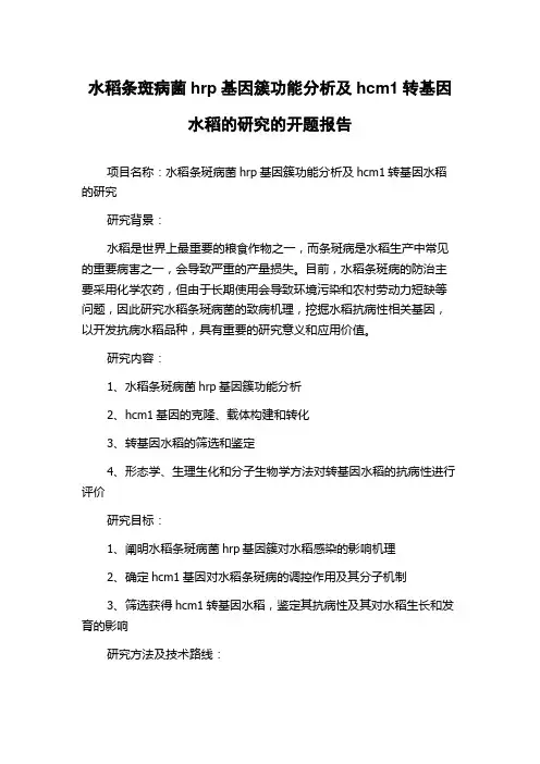 水稻条斑病菌hrp基因簇功能分析及hcm1转基因水稻的研究的开题报告