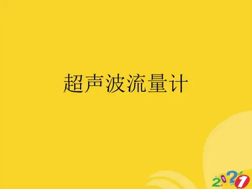 超声波流量计实用资料ppt