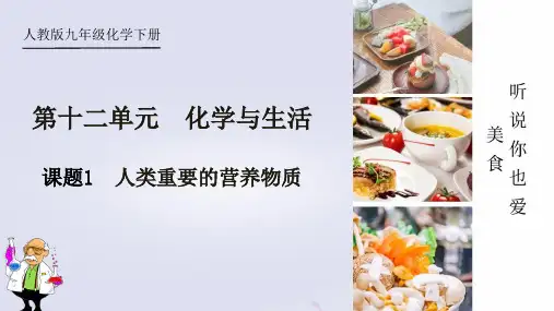 人类重要的营养物质ppt课件
