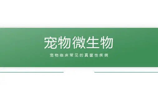 【宠物微生物课件】宠物临床常见的真菌性疾病