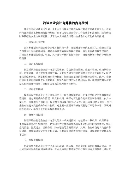 浅谈企业会计电算化的内部控制