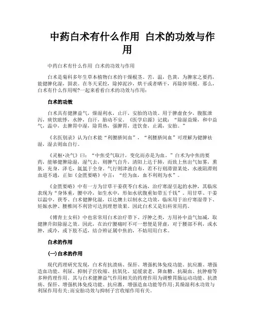 中药白术有什么作用白术的功效与作用