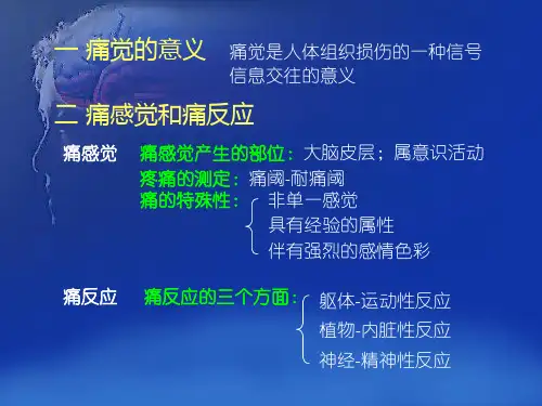 07痛觉生理心理学机制