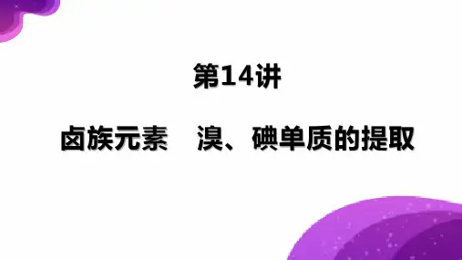 第14讲 卤族元素 溴、碘单质的提取-2024年高考化学一轮复习课件